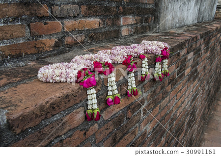 Jasmine garland on red brick wall Jasmine garland on red brick wall 30991161