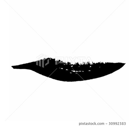 Grunge Brush Stroke set Grunge Brush Stroke set 30992383