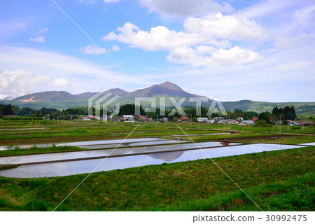 Mountain spring of spring Mountain spring of spring 30992475