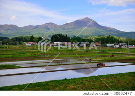 Mountain spring of spring Mountain spring of spring 30992477