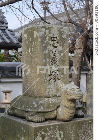 Tadayoshuka（Hanadakuji /兵庫縣Ako City Kariya 1992） 30993186