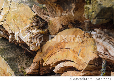 Wooden background. Firewood stacked Wooden background. Firewood stacked 30993565