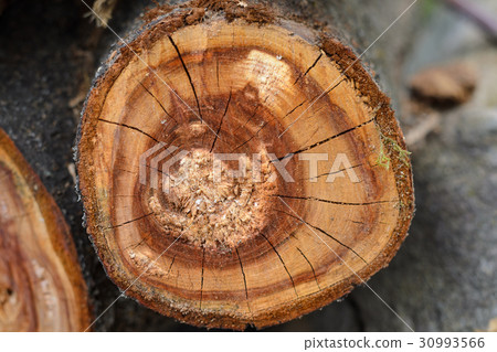 Wooden background. Firewood stacked 30993566