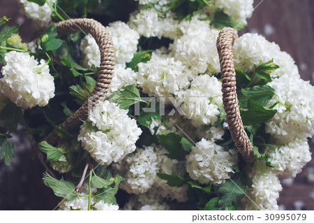 top view of white flowers in a wicker bag 30995079