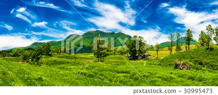 Fresh green grassland Ku Seitama 30995473