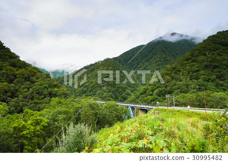 Temma horse road Hokkaido Hidaka Tokachi 30995482
