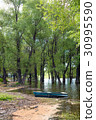 Old wooden fishing boat near the summer lake shore 30995590