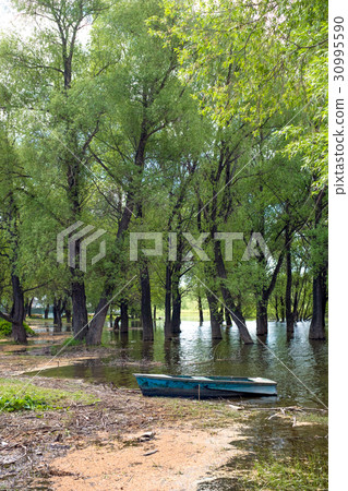 Old wooden fishing boat near the summer lake shore Old wooden fishing boat near the summer lake shore 30995590