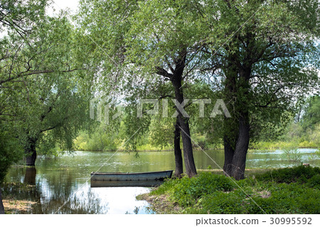 Old wooden fishing boat near the summer lake shore 30995592