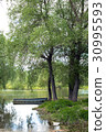 Old wooden fishing boat near the summer lake shore 30995593