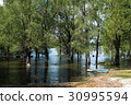 Old wooden fishing boat near the summer lake shore 30995594