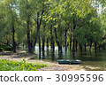 Old wooden fishing boat near the summer lake shore 30995596