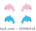 Dolphin 30996418