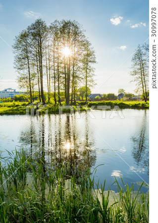 A lake with a reflection of trees in it. Summer 30997078