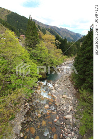 Shibaura of the Kunita family Shibaura of the Kunita family 30997173