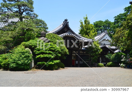 Tozenji Tozenji 30997967