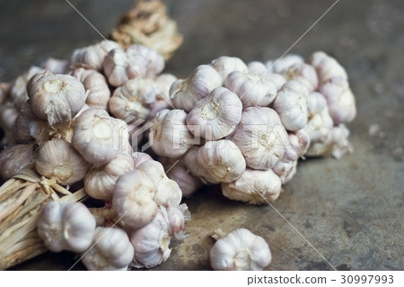Garlic bulbs group on concrete floor background 30997993