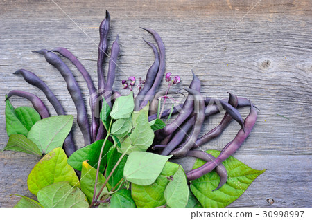 Fresh red bean pods with leaves and flowers 30998997