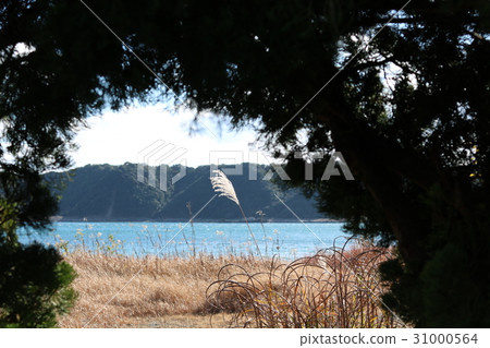 作為秘密基地的一種方式，鈴木 31000564