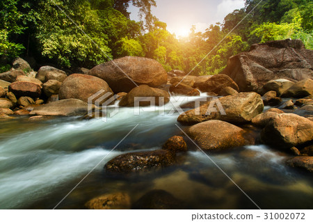 Small brook in tropical forest. 31002072