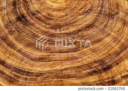 wood background wood background 31002768