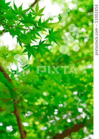 初夏Momiji 31002858