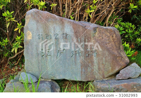 東京歷史遺址信息·石頭標記“特殊歷史遺址江戶城堡遺址”·橫向位置 31002993