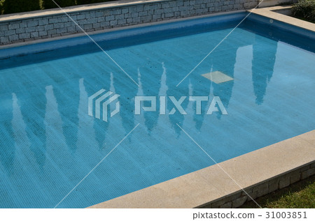 Swimming Pool with Reflection of Trees Swimming Pool with Reflection of Trees 31003851
