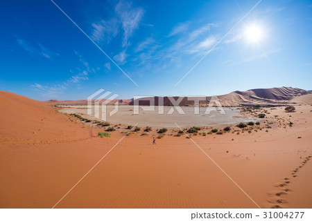Tourist walking on the scenic dunes of Sossusvlei 31004277