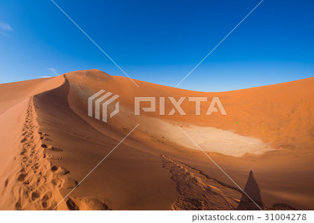 The scenic Sossusvlei and Deadvlei 31004278