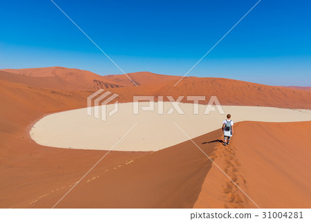 Tourist walking on the scenic dunes of Sossusvlei 31004281