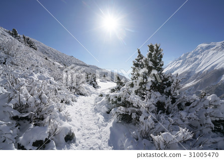 Landscape in Annapurna circuit,trekking in Nepal 31005470