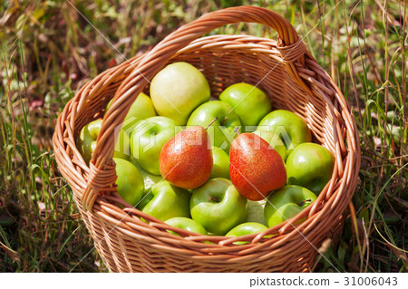 Wicker basket with apples and red pears on grass. 31006043