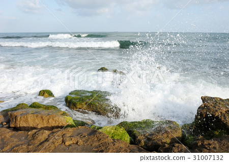 Mediterranean Coast Israel 31007132