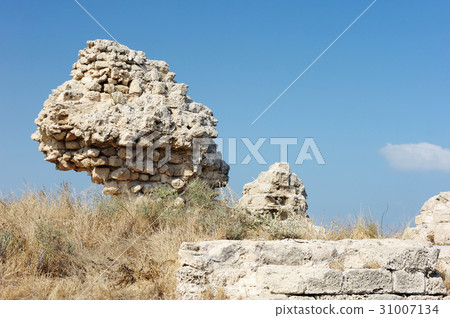 Park of Ashkelon in Israel 31007134