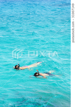 Red Sea, Gulf of Eilat 31007149