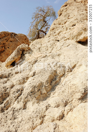 Dead Sea Mountains 31007155