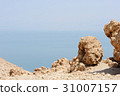 The coast of the Dead Sea 31007157