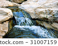 Stream in Ein Gedi 31007159