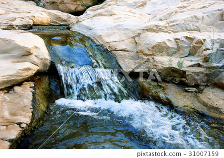 Stream in Ein Gedi 31007159