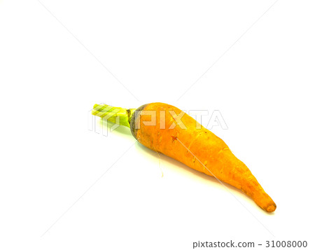 Carrot 31008000