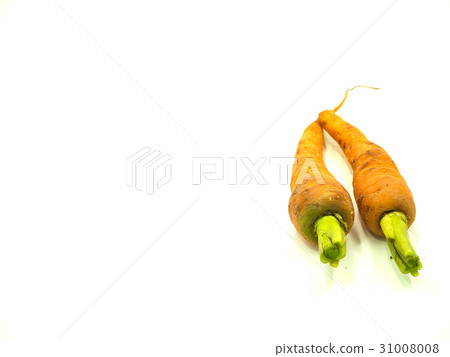 Carrot Carrot 31008008