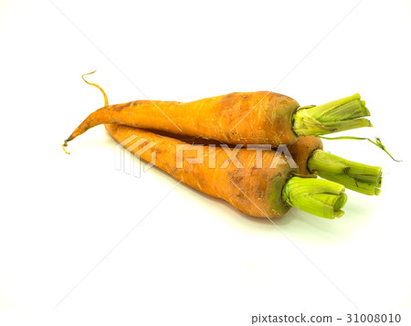 Carrot 31008010