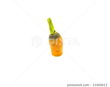 Carrot 31008013