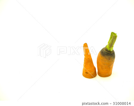 Carrot 31008014
