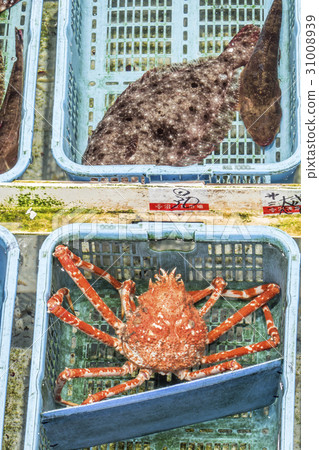 Fish market Fish market 31008939