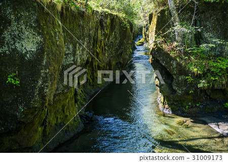 Tarumae Gallo 31009173