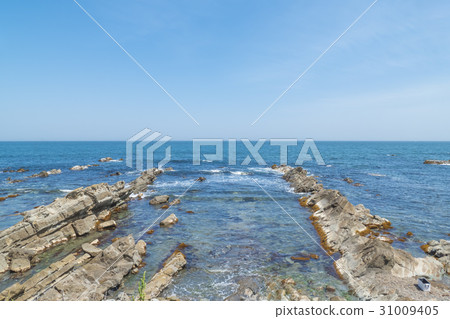 Hiraiso Cretaceous stratum 31009405