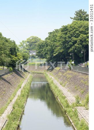 Zenfukuji River in the branch of the Kanda River (Suginami Ward, Tokyo) Zenfukuji River in the branch of the Kanda River (Suginami Ward, Tokyo) 31011431