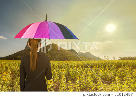 business woman holding multicolored umbrella in sunflower field 31012497